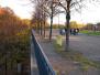  Promenade dans le parc Bercy (12e)
